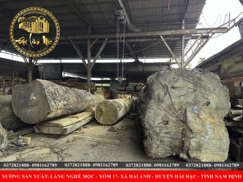 Gỗ lim nam phi phân loại cách nhận dạng gỗ lim nam phi